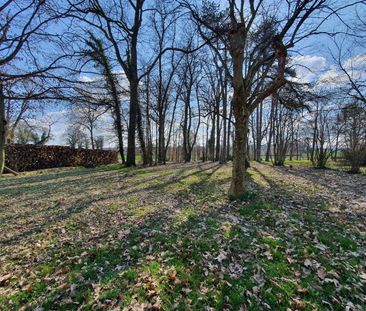 Location Maison 3 pièces 126m² VILLARS LES DOMBES 01330 - Photo 5