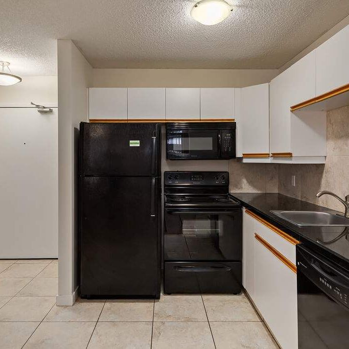 Renovated Suite - 1 Bedroom - Photo 1