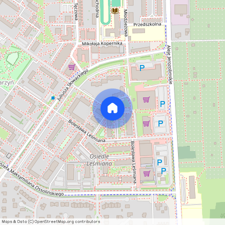 ul. Bolesława Leśmiana, Brzeg Dolny, Brzeg Dolny, wołowski, dolnośląskie