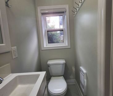 For Lease - 49 Vine Avenue Unit# MAIN, Toronto, Ontario - Photo 4