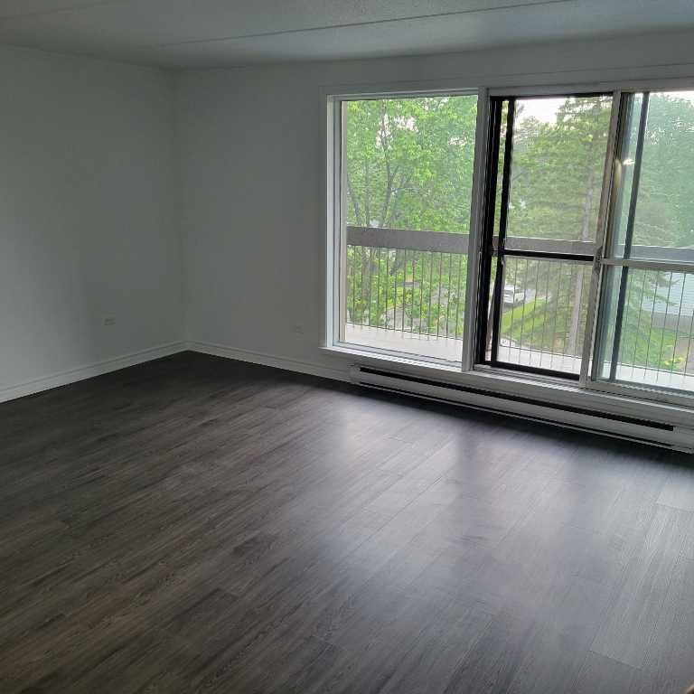 Très Bel Appartement Studio à Louer - Une Personne - Boulevard des Sources - DDO; Aussi 3 1/2, 4 1/2 - Photo 1