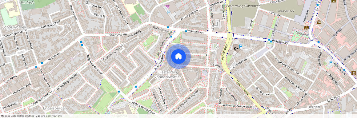 Willem Frisostraat, 5616 BE, Eindhoven