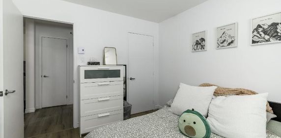 Appartement 3 ½ à louer Lévis juin 2026 - Photo 2