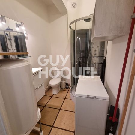Location Appartement 1 pièce 16m² - Photo 3