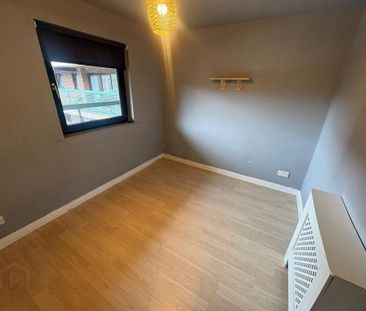 19 Balmoral Court, Belfast, BT9 7GR - Photo 3