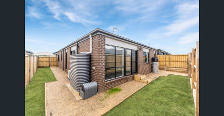 **RECEIVE ONE MONTH FREE RENT, ASK US HOW!! Brand New 4-Bedroom Family Home for Lease – Fraser Rise - Photo 3