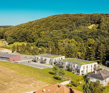 KIRCHSTETTEN / TOTZENBACH I/1 - Photo 4