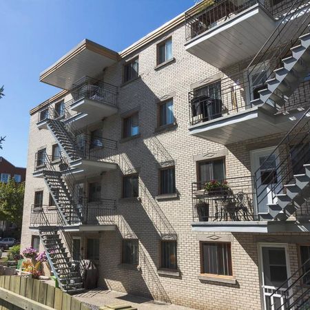 6½ (4 ch) Ste-Foy - UNIVERSITÉ \CEGEP libre - Photo 3