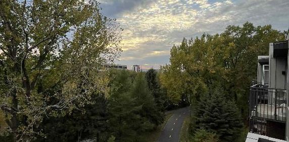 MAGNIFIQUE AU COEUR DE LIMOILOU - Photo 2