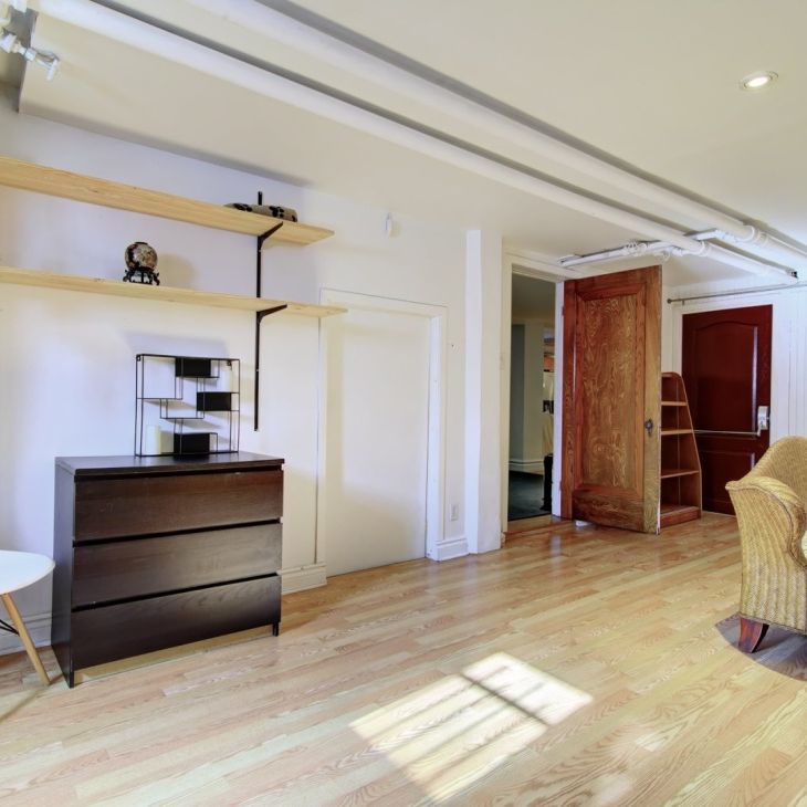 Appartement à louer - Montréal (Le Plateau-Mont-Royal) (Le Plateau-Mont-Royal) - Photo 1