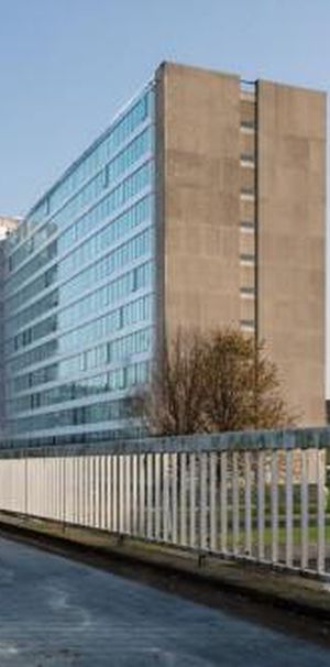 Bos en Lommerplantsoen 1055 AA Amsterdam - foto 1