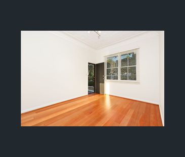 44 Breillat Street, Annandale, NSW 2038 - Photo 4