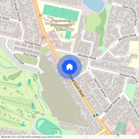 28/666b Great South Road, Auckland City