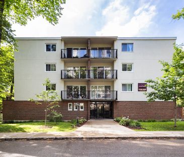 Père-Marquette Apartments - 1 Bedroom - Photo 5