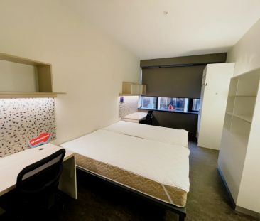 King Studio - Photo 6