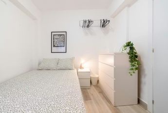 Senda del Secanet, Valencia, Valencian Community 46035