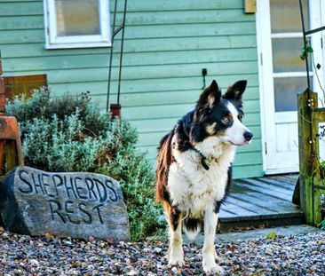 Shrewsbury - Photo 3