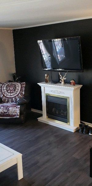 Grand 5 et demi aire ouverte ANIMAUX acceptés - Photo 1