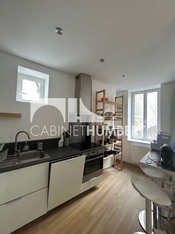 Location Appartement 3 pièces Meublé 50m² ST ETIENNE 42000 - Photo 4