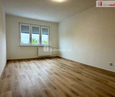 Pronájem bytu 2+1 55 m², Ostrov - Photo 6