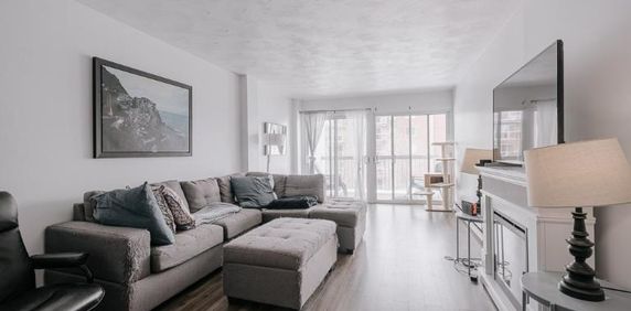 Appartement 4 ½ à louer Sainte-Foy / Sillery juillet 2026 - Photo 2