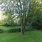 Location Appartement 3 pièces 64m² AVON 77210 - Photo 1