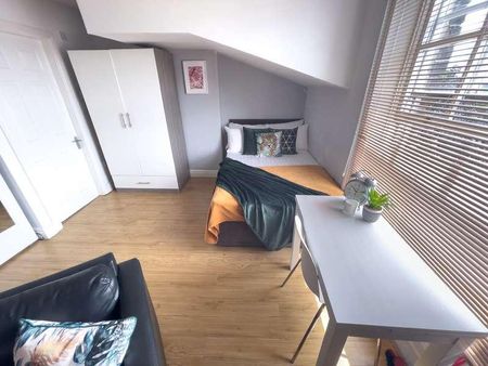 Upper Parliament Street, L8 - Photo 3