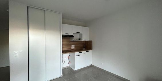 Location Appartement 1 pièce 25m² CARROS 06510 - Photo 3