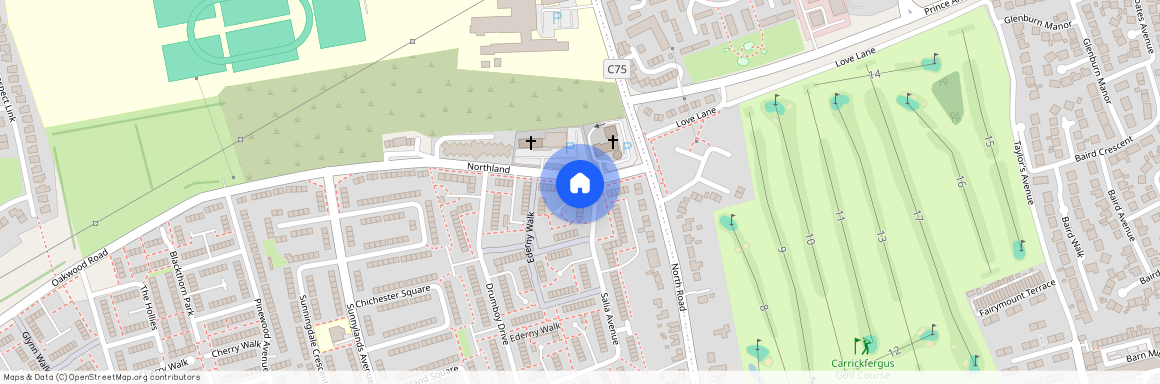 136 Salia Avenue, Carrickfergus, BT38 8NE