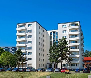 Klein , aber fein(es) Appartement in Mauenheim - Foto 1