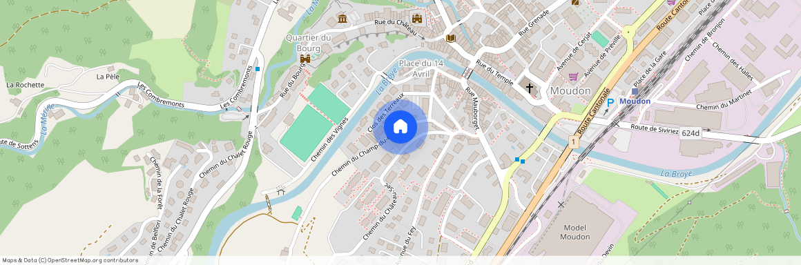 1510, Moudon, Chemin Du Champ-Du-Gour, 5