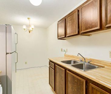 Renovated Suite - 1 Bedroom - Photo 6