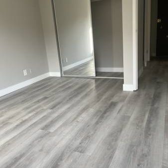 LARGE FULLY RENOVATED ONE BEDROOM APARTMENT - DOWNTOWN VANCOUVER - Photo 1