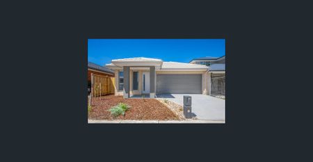 MODERN & LIGHT 4 BEDROOM HOME! - Photo 4