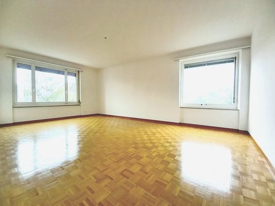 An zentralster Wohnlage nähe Uni, ETH, Central und Hauptbahnhof - Photo 1