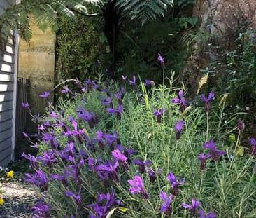 Amazing 2bedroom house - Photo 5