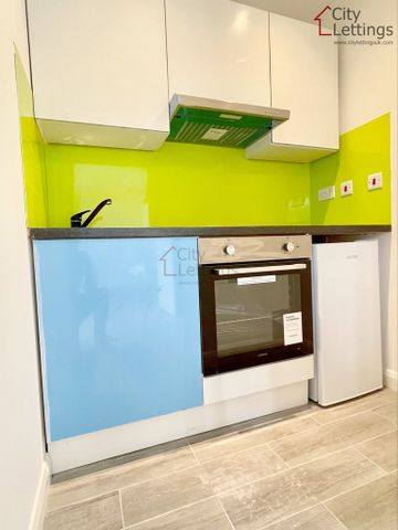 1 Bedroom Studio - Photo 5