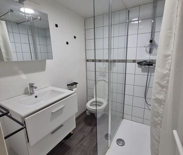 location Appartement 2 pièces à Colmar - REF 1578-RS - Photo 6