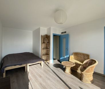 T1 MEUBLE PROCHE CHU - Photo 6