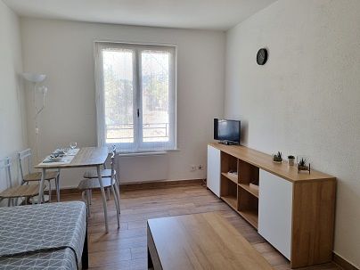 Location Appartement 1 pièce 22m² LE PEAGE DE ROUSSILLON 38550 - Photo 1