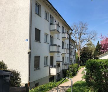 2 Zimmer, 48 m², EG - Foto 1