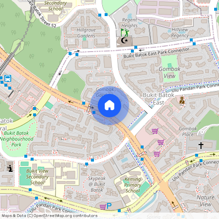 233 Bukit Batok East Avenue 5 (650233), Singapore