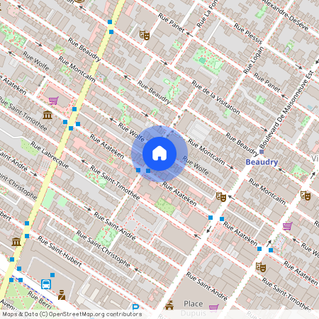 1732 Rue Wolfe, Montréal (Ville-Marie), H2L3J6