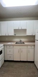 BRIGHT STUDIO UNIT -CHARMING UNIT *MINUTES FROM METROTOWN - Photo 3