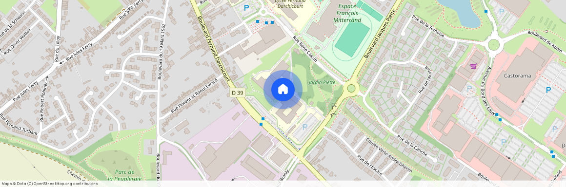 HENIN BEAUMONT (62110)