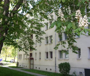 Gemütliche Singlewohnung im Grünen - Photo 6