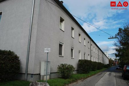 Urbanes Wohnen in zentraler Lage - grüner Innenhof - schöner und praktischer Schnitt - erstklassige Infrastruktur! - Foto 3