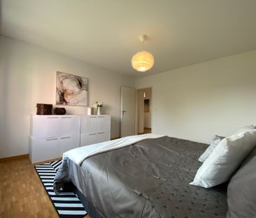 8606 Greifensee - Photo 5