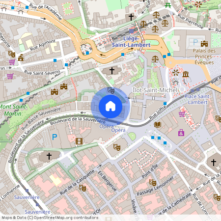 BOULEVARD DE LA SAUVENIERE, 12, 12, 0, 4000, Liège