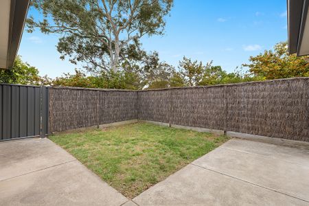 Ainslie Gem - Photo 2